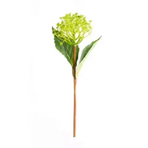 Vara de Sincuya 38cm.