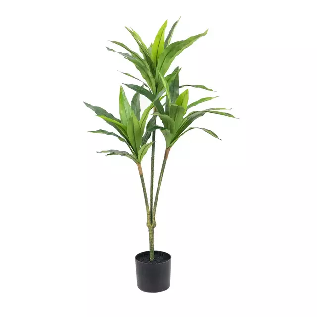 Planta Dracaena 110 cm.