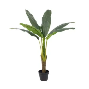 Planta Banano 110cm.