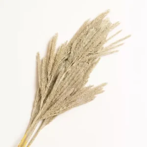 Planta Hoja Decorativa Navidad Plateada
