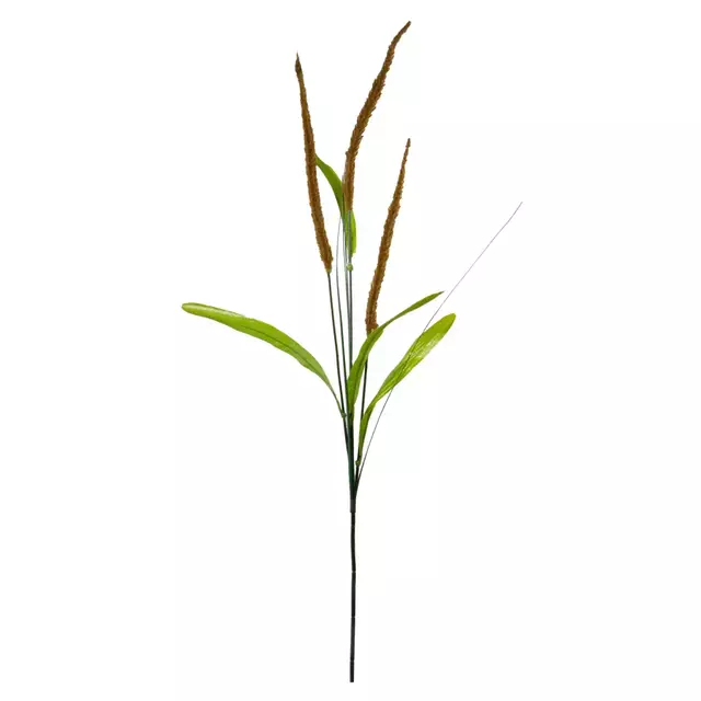 Vara Flor Totora 65cm.