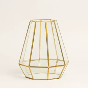 Terrario de Vidrio Derby Dorado Xl